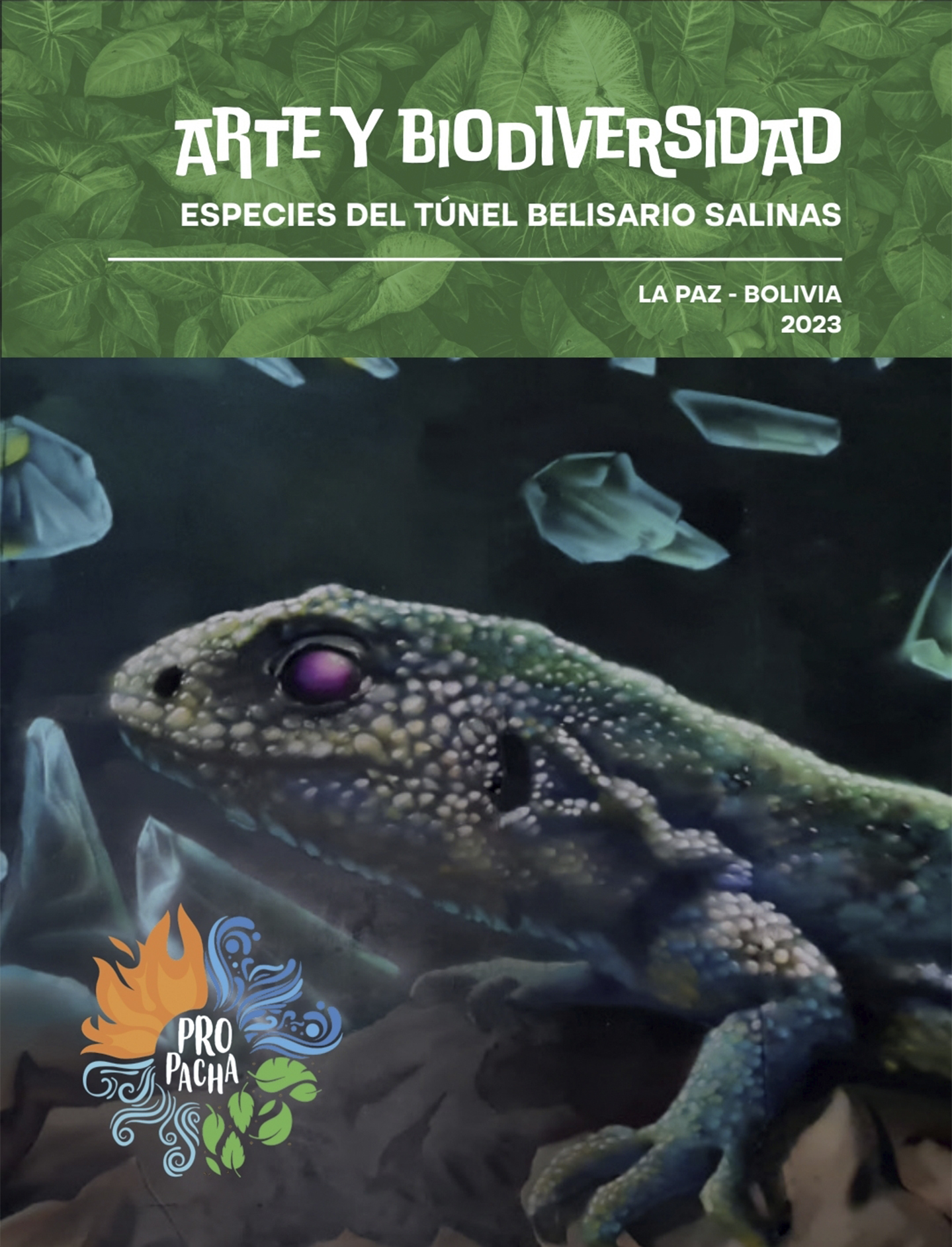 Arte y Biodiversidad