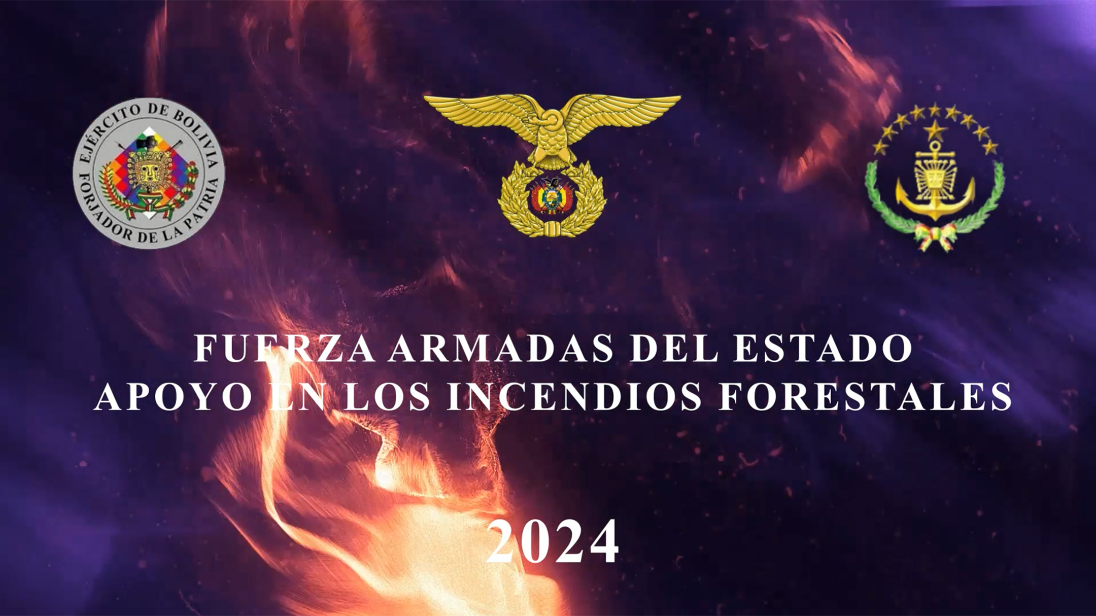 Fuerza Armadas Incendios