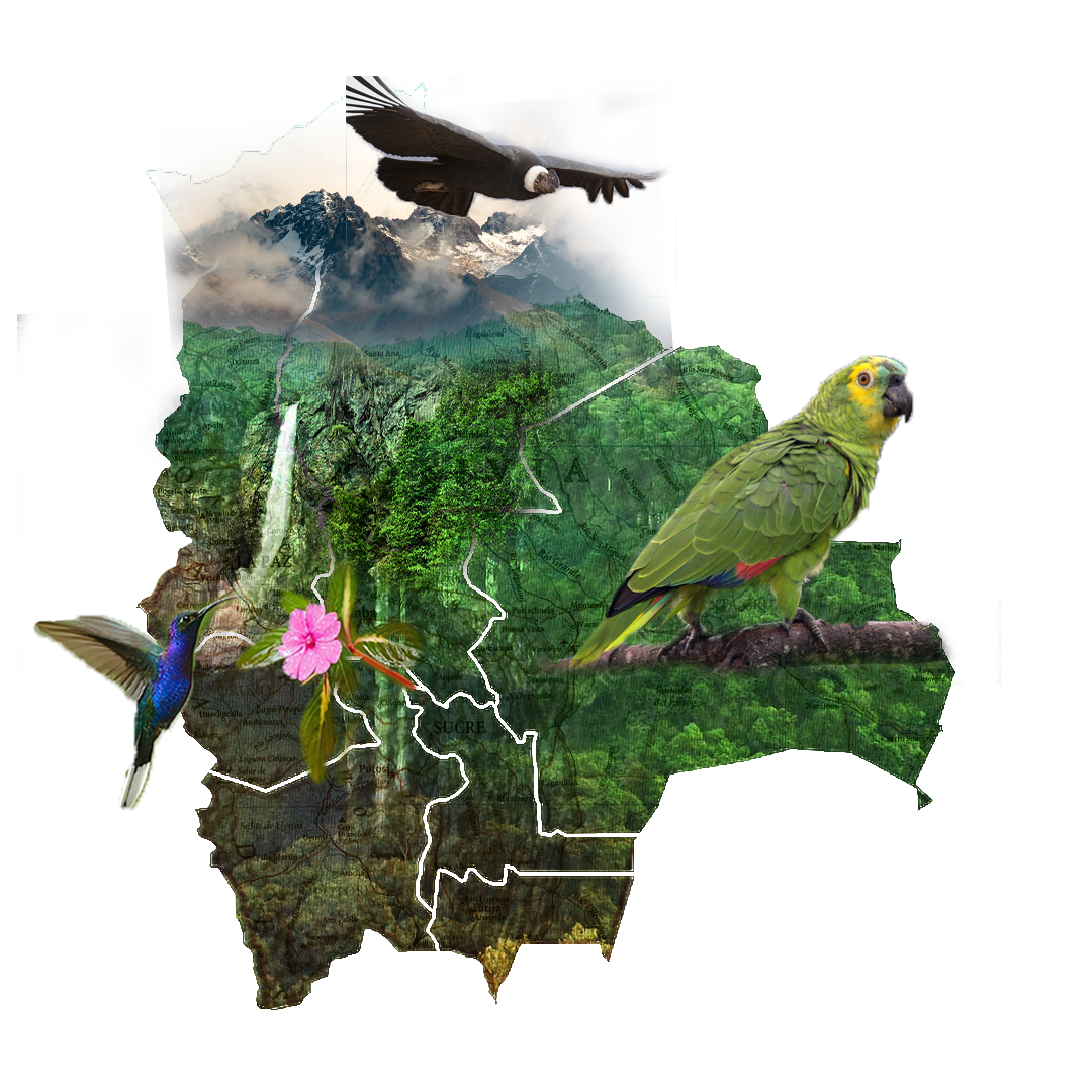 Mapa Bolivia Biodiversidad